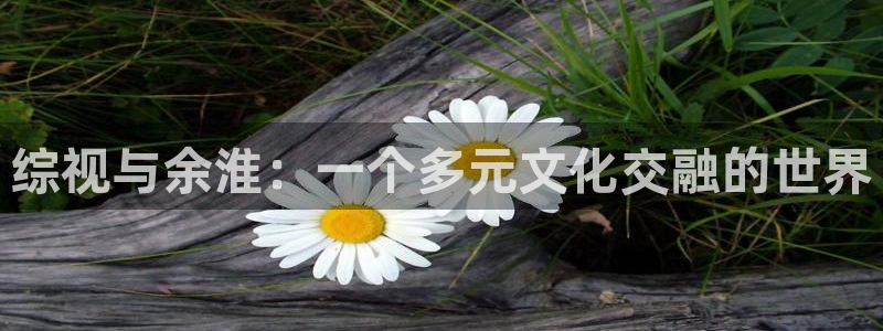 金桔電影網：綜視與余淮：一個多元文化交融的世界