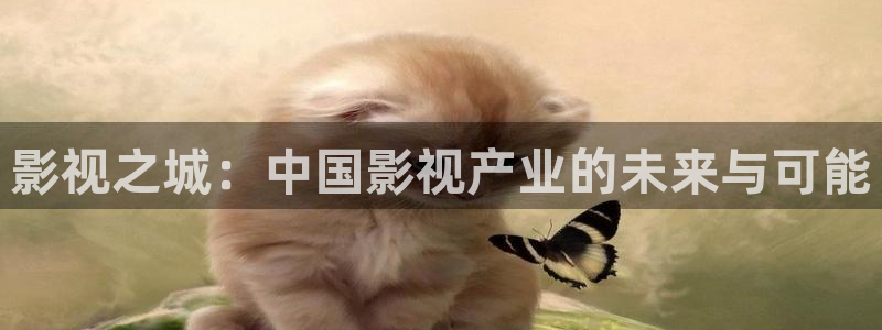 av金桔影院：影視之城：中國影視產業的未來與可能